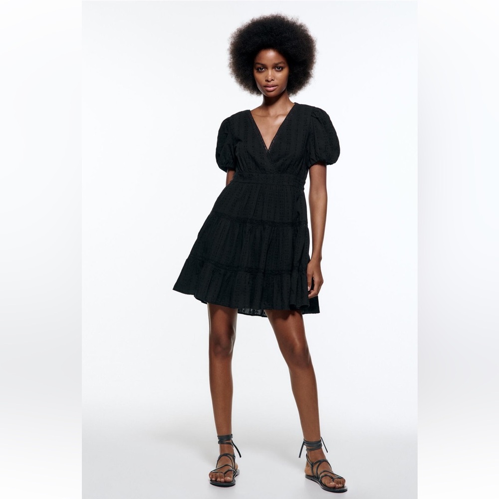 Zara Lace Embroidered Dress